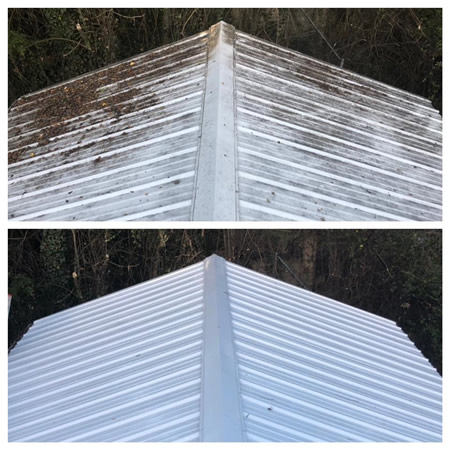 How Pollen Season in Georgia and Alabama Affects Your Home’s Exterior